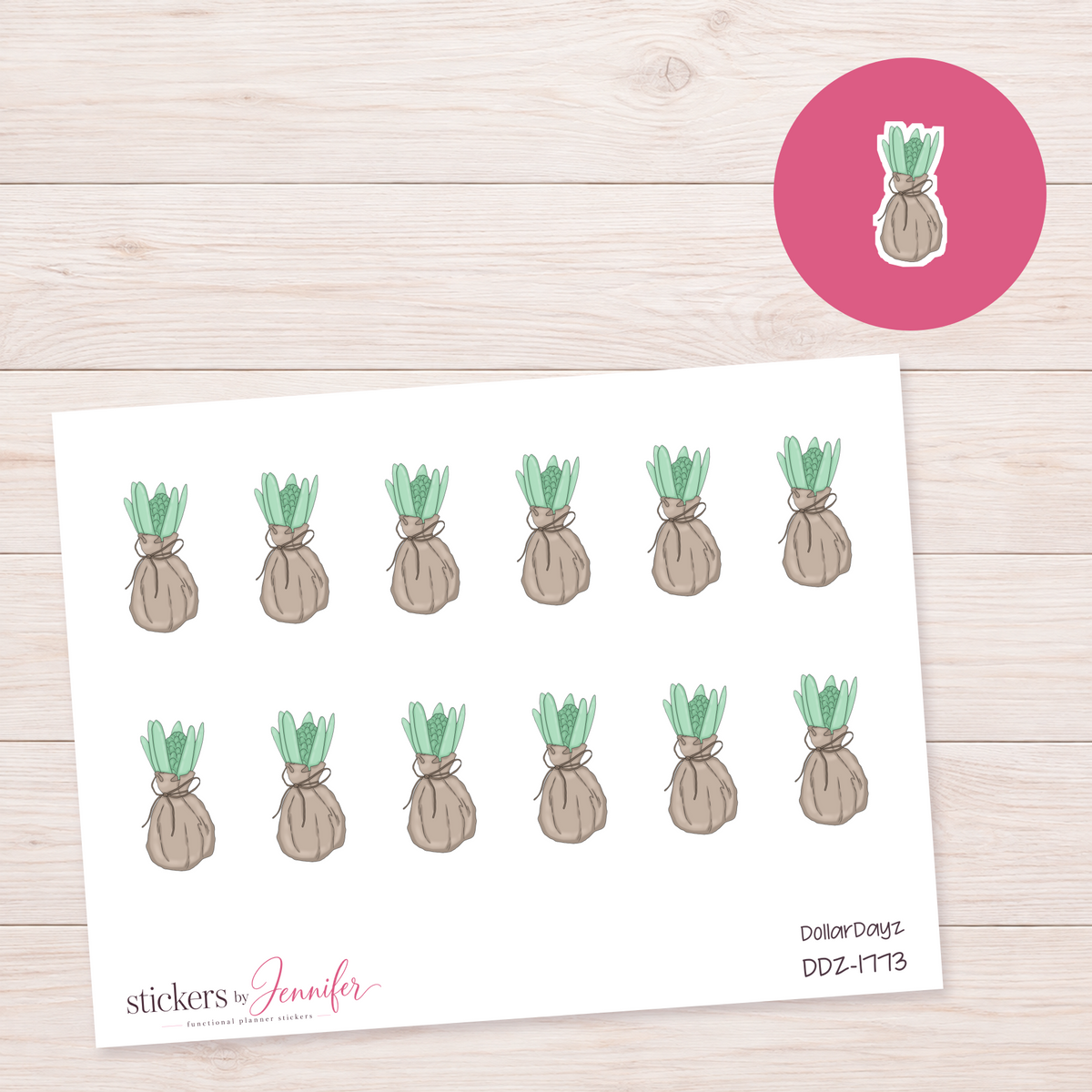 Wrapped Succulent Planner Stickers | DDZ-1773
