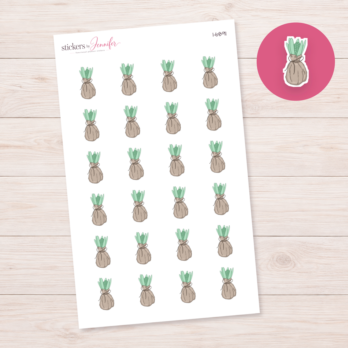 Wrapped Succulent Planner Stickers | I-6891