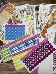 Erin Condren Planner Grab Bag 50 items