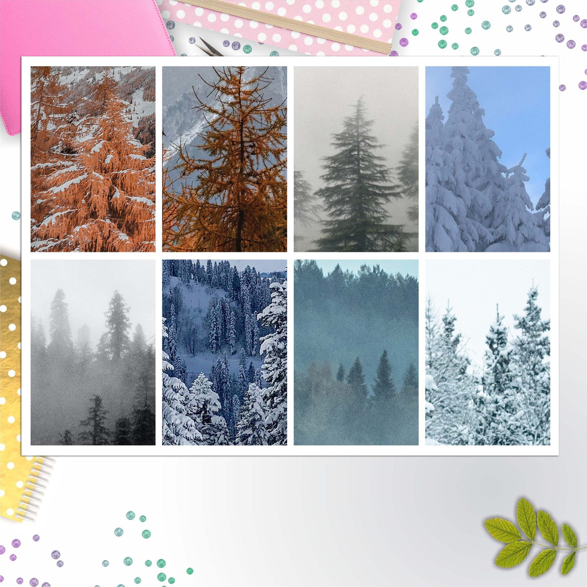 Winter Trees Full Box Big Happy Planner, Erin Condren, Classic Happy Planner