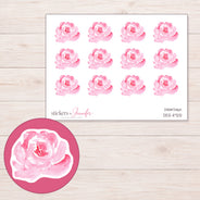 DDZ-11725 planner sticker sheet with enlarged sticker detail