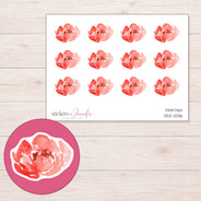 DDZ-13316 planner sticker sheet with enlarged sticker detail