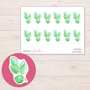 DDZ-13922 planner sticker sheet with enlarged sticker detail