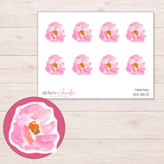 DDZ-15570 planner sticker sheet with enlarged sticker detail
