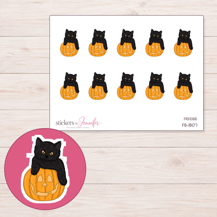 Pumpkin Kitty · FB-1807
