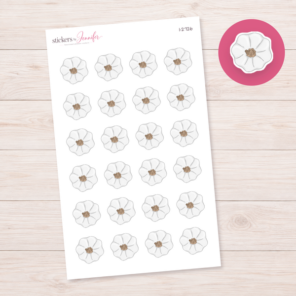 White Pumpkin from Above Planner Stickers | I-2726