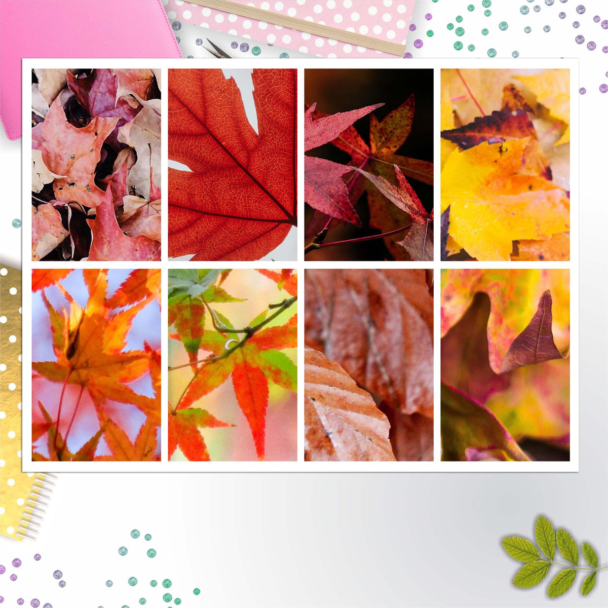 Autumn Leaves Full Box Big Happy Planner, Erin Condren, Classic Happy Planner