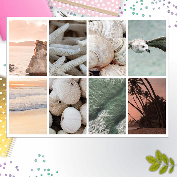 Beach Life Full Box Big Happy Planner, Erin Condren, Classic Happy Planner