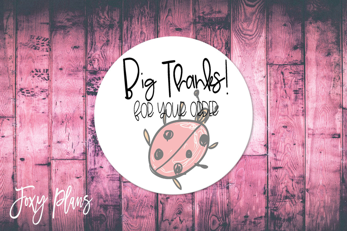 Big Thanks For Your Order, Small Business Stickers, Circle Stickers, Stationary Stickers, Functional Planner Stickers, Envelope Stickers