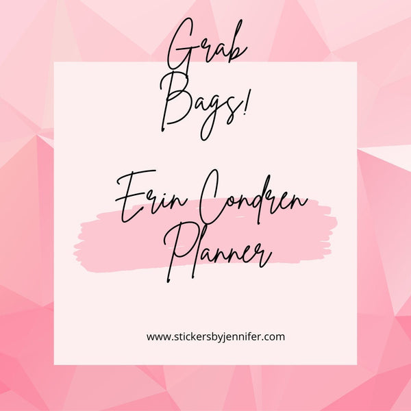 Erin Condren Planner Grab Bag 50 items