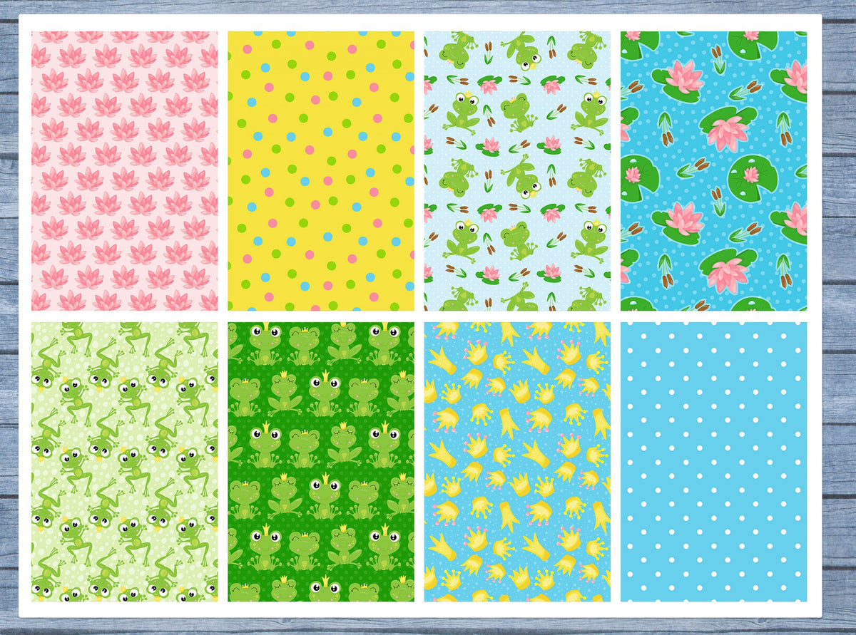 Frog Prince Full Box Planner Stickers, Big Happy Planner, Erin Condren, Classic Happy Planner, Mini Happy Planner