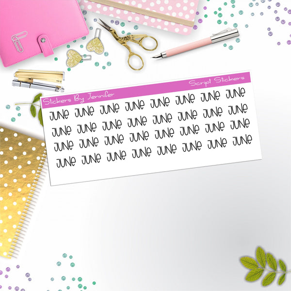 June Script Stickers, Typography Stickers, Planner Stickers