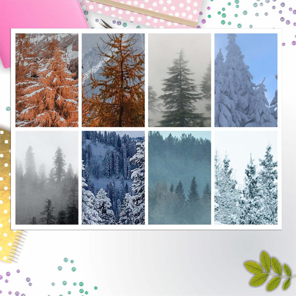 Winter Trees Full Box Big Happy Planner, Erin Condren, Classic Happy Planner