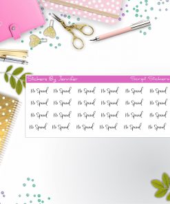 No Spend Script Stickers, Typography Stickers, Planner Stickers, Journal Stickers, Functional Planner Stickers, Stationary Stickers