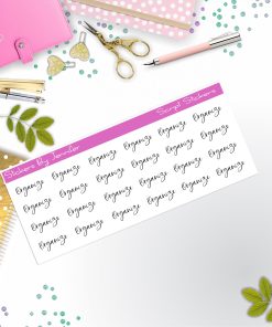Organize Script Stickers, Typography Stickers, Planner Stickers, Journal Stickers, Functional Planner Stickers, Stationary Stickers