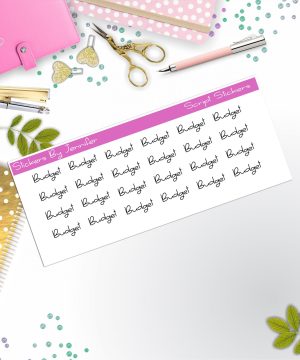 Budget Script Stickers, Typography Stickers, Planner Stickers