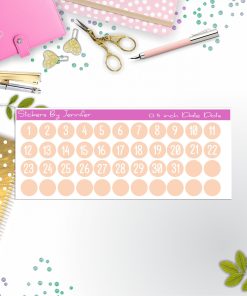 Date Covers, Date Dots, Number Stickers P-89, Planner Stickers, Journal Stickers, Functional Planner Stickers, Stationary Stickers