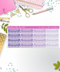 Hydrate Quarter Boxes  Planner Stickers, Journal Stickers, Functional Planner Stickers, Stationary Stickers