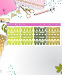 Hydrate Quarter Boxes  Planner Stickers, Journal Stickers, Functional Planner Stickers, Stationary Stickers