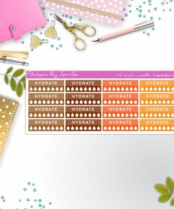 Hydrate Quarter Boxes  Planner Stickers, Journal Stickers, Functional Planner Stickers, Stationary Stickers