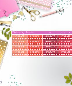 Hydrate Quarter Boxes  Planner Stickers, Journal Stickers, Functional Planner Stickers, Stationary Stickers