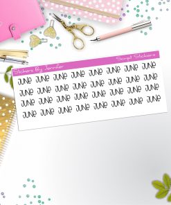 June Script Stickers, Typography Stickers, Planner Stickers