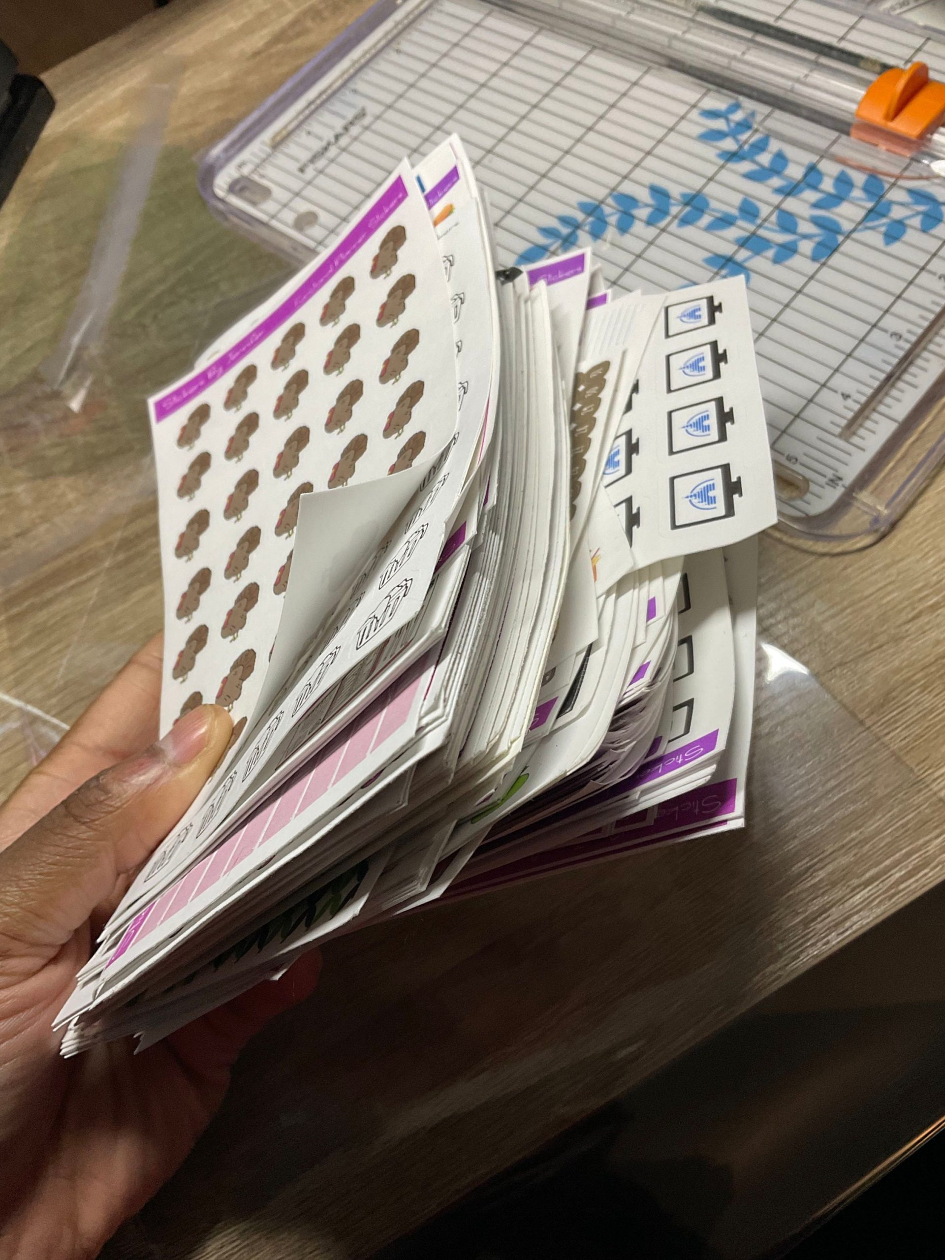 Grab Bag Random Pull 5x7 Sticker Album and 6 Random Functional Sheets - Image 9