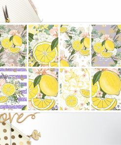 Lemon Full Box Big Happy Planner, Erin Condren, Classic Happy Planner