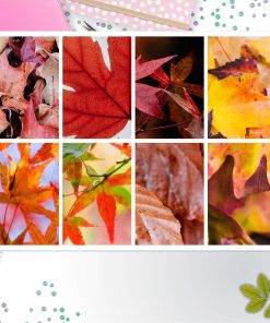 Autumn Leaves Full Box Big Happy Planner, Erin Condren, Classic Happy Planner