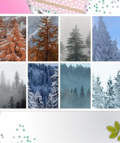 Winter Trees Full Box Big Happy Planner, Erin Condren, Classic Happy Planner